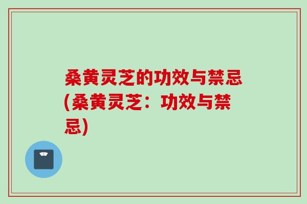桑黄灵芝的功效与禁忌(桑黄灵芝：功效与禁忌)