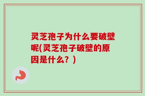 灵芝孢子为什么要破壁呢(灵芝孢子破壁的原因是什么？)