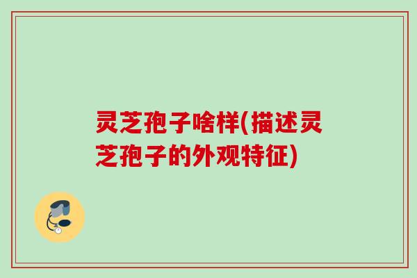 灵芝孢子啥样(描述灵芝孢子的外观特征)