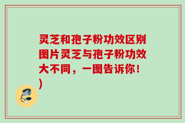 灵芝和孢子粉功效区别图片灵芝与孢子粉功效大不同，一图告诉你！)