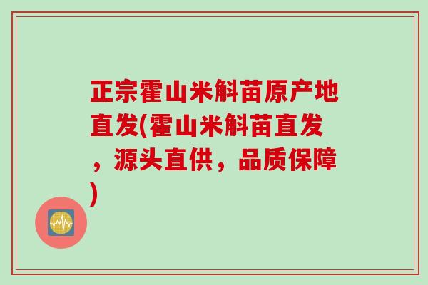 正宗霍山米斛苗原产地直发(霍山米斛苗直发，源头直供，品质保障)