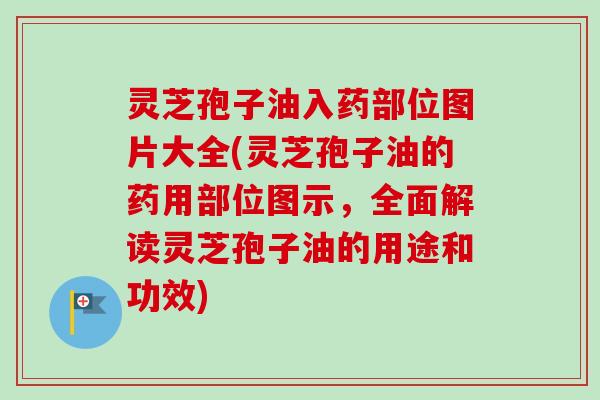 灵芝孢子油入药部位图片大全(灵芝孢子油的药用部位图示，全面解读灵芝孢子油的用途和功效)