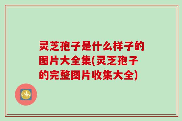 灵芝孢子是什么样子的图片大全集(灵芝孢子的完整图片收集大全)