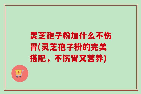 灵芝孢子粉加什么不伤胃(灵芝孢子粉的完美搭配，不伤胃又营养)