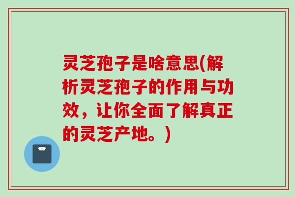 灵芝孢子是啥意思(解析灵芝孢子的作用与功效，让你全面了解真正的灵芝产地。)