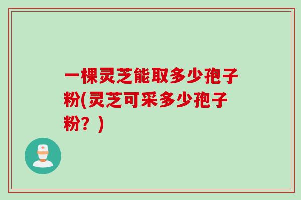 一棵灵芝能取多少孢子粉(灵芝可采多少孢子粉？)
