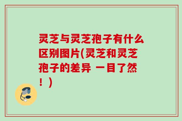灵芝与灵芝孢子有什么区别图片(灵芝和灵芝孢子的差异 一目了然！)