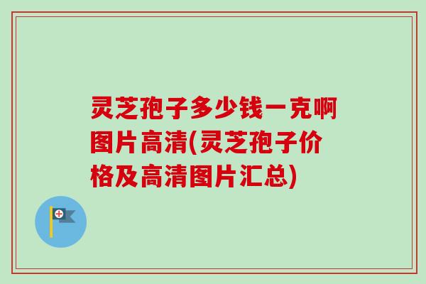 灵芝孢子多少钱一克啊图片高清(灵芝孢子价格及高清图片汇总)