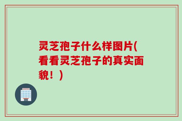 灵芝孢子什么样图片(看看灵芝孢子的真实面貌！)