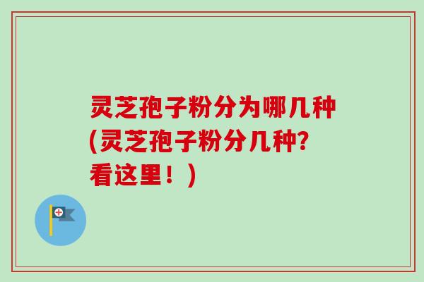 灵芝孢子粉分为哪几种(灵芝孢子粉分几种？看这里！)