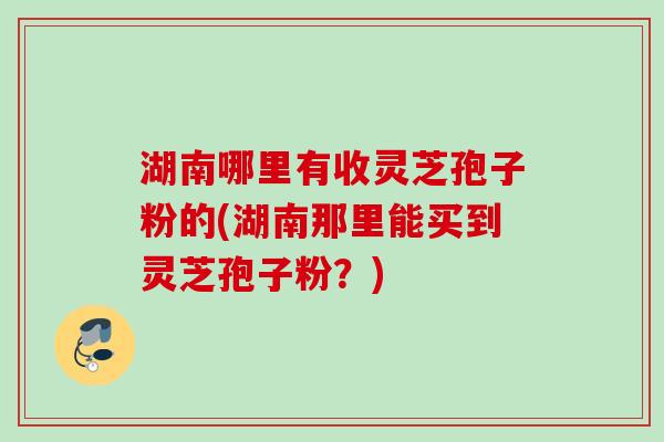 湖南哪里有收灵芝孢子粉的(湖南那里能买到灵芝孢子粉？)