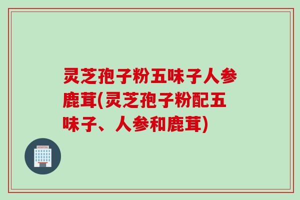 灵芝孢子粉五味子人参鹿茸(灵芝孢子粉配五味子、人参和鹿茸)