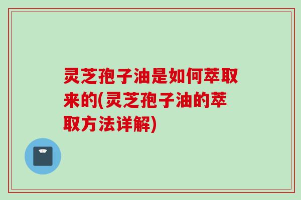 灵芝孢子油是如何萃取来的(灵芝孢子油的萃取方法详解)