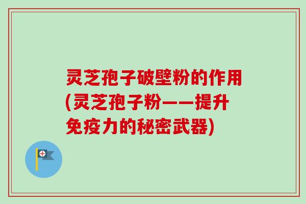 灵芝孢子破壁粉的作用(灵芝孢子粉——提升免疫力的秘密武器)