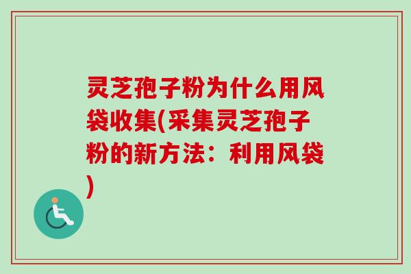 灵芝孢子粉为什么用风袋收集(采集灵芝孢子粉的新方法：利用风袋)