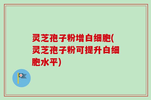 灵芝孢子粉增白细胞(灵芝孢子粉可提升白细胞水平)