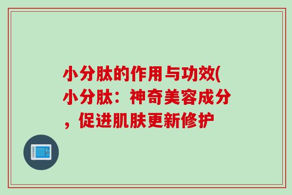 小分肽的作用与功效(小分肽：神奇美容成分，促进肌肤更新修护
