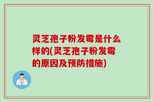 灵芝孢子粉发霉是什么样的(灵芝孢子粉发霉的原因及预防措施)