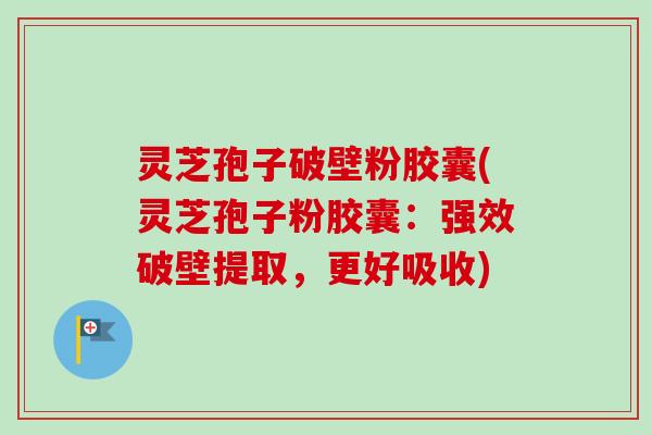 灵芝孢子破壁粉胶囊(灵芝孢子粉胶囊：强效破壁提取，更好吸收)
