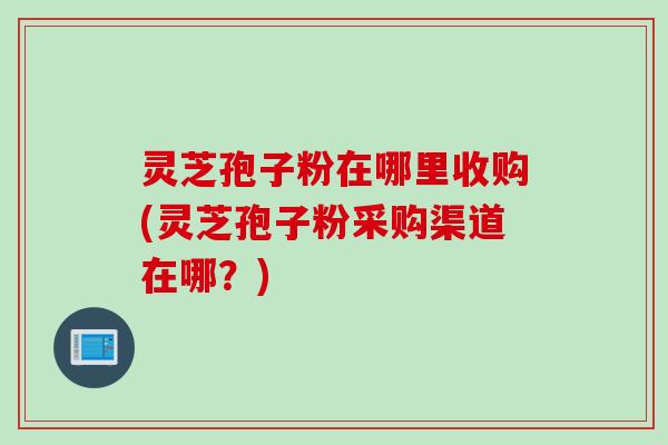灵芝孢子粉在哪里收购(灵芝孢子粉采购渠道在哪？)