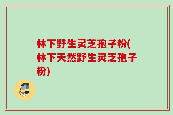 林下野生灵芝孢子粉(林下天然野生灵芝孢子粉)