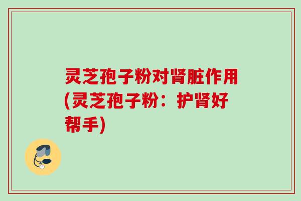 灵芝孢子粉对肾脏作用(灵芝孢子粉：护肾好帮手)