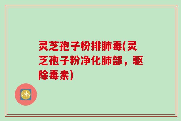 灵芝孢子粉排肺毒(灵芝孢子粉净化肺部，驱除毒素)