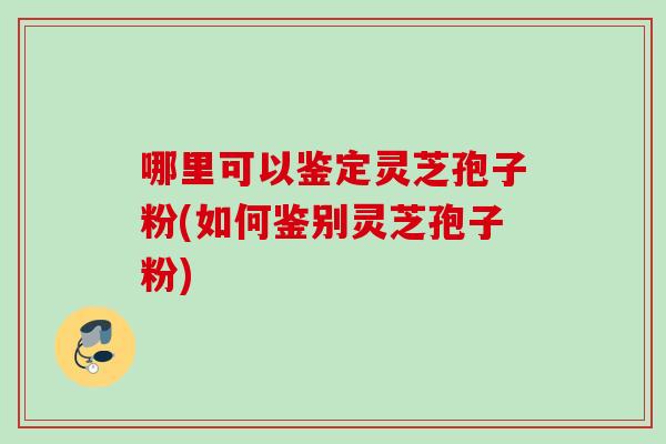 哪里可以鉴定灵芝孢子粉(如何鉴别灵芝孢子粉)