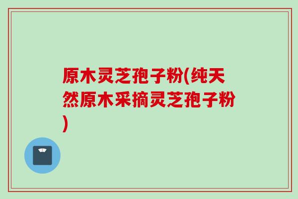 原木灵芝孢子粉(纯天然原木采摘灵芝孢子粉)