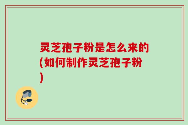 灵芝孢子粉是怎么来的(如何制作灵芝孢子粉)