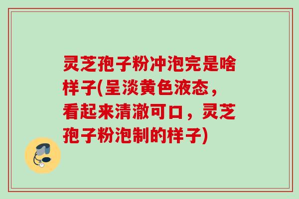 灵芝孢子粉冲泡完是啥样子(呈淡黄色液态，看起来清澈可口，灵芝孢子粉泡制的样子)