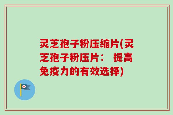 灵芝孢子粉压缩片(灵芝孢子粉压片： 提高免疫力的有效选择)