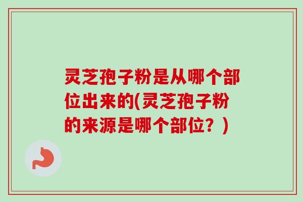 灵芝孢子粉是从哪个部位出来的(灵芝孢子粉的来源是哪个部位？)