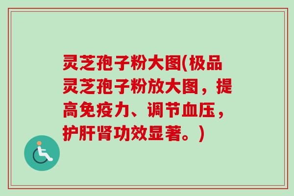 灵芝孢子粉大图(极品灵芝孢子粉放大图，提高免疫力、调节血压，护肝肾功效显著。)