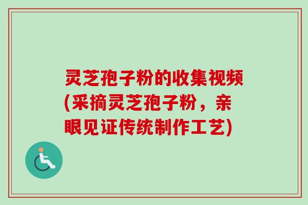 灵芝孢子粉的收集视频(采摘灵芝孢子粉,亲眼见证传统制作工艺) 灵芝孢子粉的收集视频(采摘灵芝孢子粉,亲眼见证传统制作工艺)