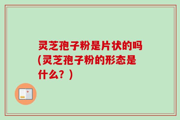 灵芝孢子粉是片状的吗(灵芝孢子粉的形态是什么？)