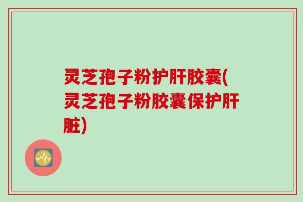 灵芝孢子粉护肝胶囊(灵芝孢子粉胶囊保护肝脏)