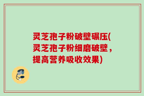 灵芝孢子粉破壁碾压(灵芝孢子粉细磨破壁，提高营养吸收效果)
