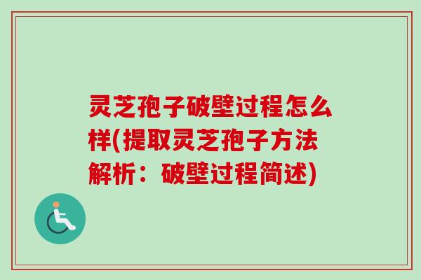 灵芝孢子破壁过程怎么样(提取灵芝孢子方法解析：破壁过程简述)