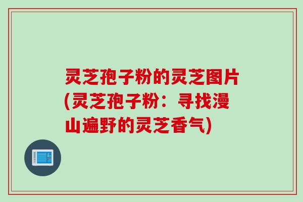 灵芝孢子粉的灵芝图片(灵芝孢子粉：寻找漫山遍野的灵芝香气)