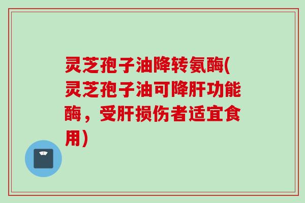 灵芝孢子油降转氨酶(灵芝孢子油可降肝功能酶，受肝损伤者适宜食用)