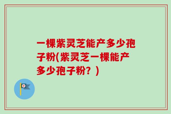 一棵紫灵芝能产多少孢子粉(紫灵芝一棵能产多少孢子粉？)