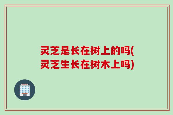 灵芝是长在树上的吗(灵芝生长在树木上吗)