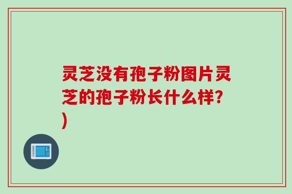 灵芝没有孢子粉图片灵芝的孢子粉长什么样?) 灵芝没有孢子粉图片灵芝的孢子粉长什么样?)