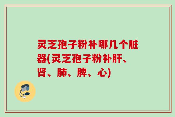 灵芝孢子粉补哪几个脏器(灵芝孢子粉补肝、肾、肺、脾、心)