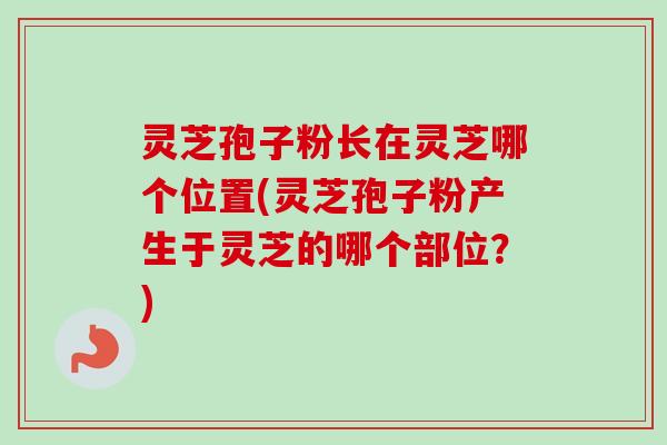 灵芝孢子粉长在灵芝哪个位置(灵芝孢子粉产生于灵芝的哪个部位？)