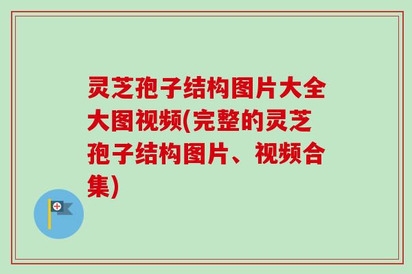 灵芝孢子结构图片大全大图视频(完整的灵芝孢子结构图片、视频合集)
