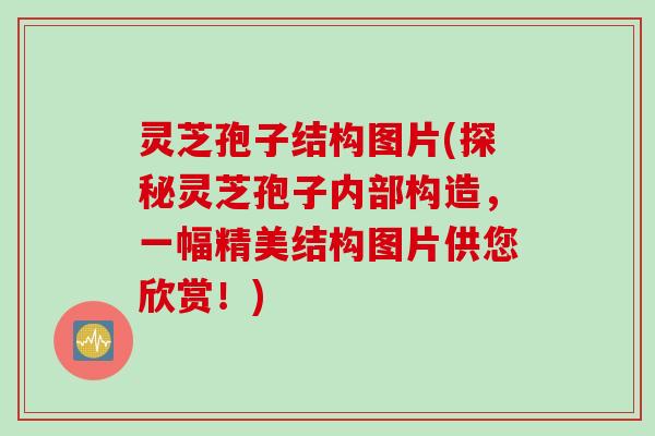 灵芝孢子结构图片(探秘灵芝孢子内部构造，一幅精美结构图片供您欣赏！)