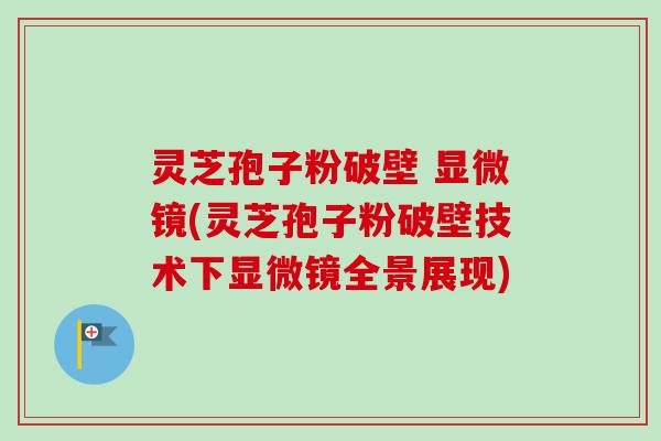 灵芝孢子粉破壁 显微镜(灵芝孢子粉破壁技术下显微镜全景展现)