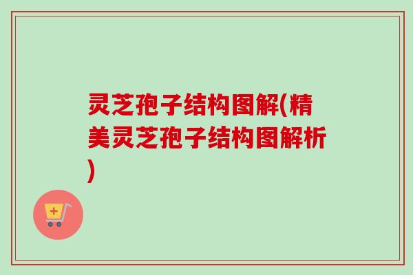 灵芝孢子结构图解(精美灵芝孢子结构图解析) 灵芝孢子结构图解(精美灵芝孢子结构图解析)